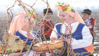 Production, trade and consumption of wine in Bulgaria