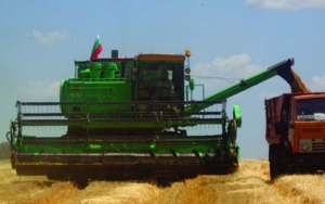Bulgaria&#039;s 2016 Wheat Production Rises 16% through End-July