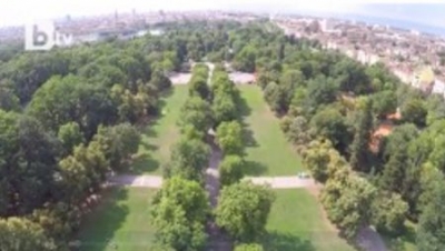 Big Changes in Borisova Garden Are Expected