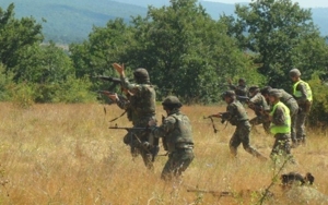 Bulgaria Hosts Joint Training of Land Forces, U.S. Marine Corps