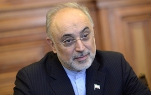 Iran Looking into Bulgaria&#039;s Nuclear Offer