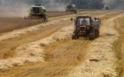Bulgarian Farmland Prices Keep Rising, Up 7% Y/Y in 2015