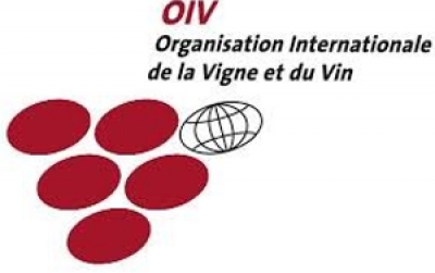 Bulgaria to host the 40th World Congress of Vine and Wine