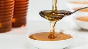 Bulgaria Traditionally Exports Between 7 and 8 Thousand Tons of Honey Per Year