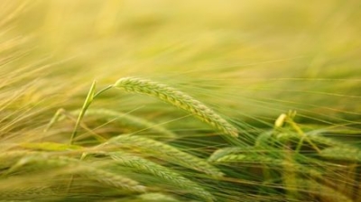 Bulgaria will Cooperate with Saudi Arabia in Agriculture